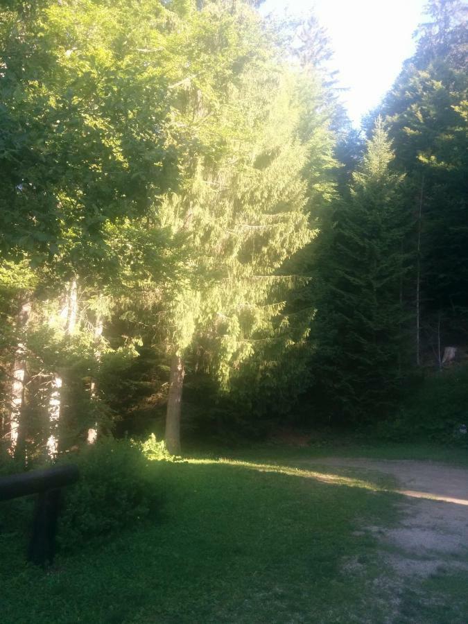 Abetina Διαμέρισμα Levico Terme Εξωτερικό φωτογραφία